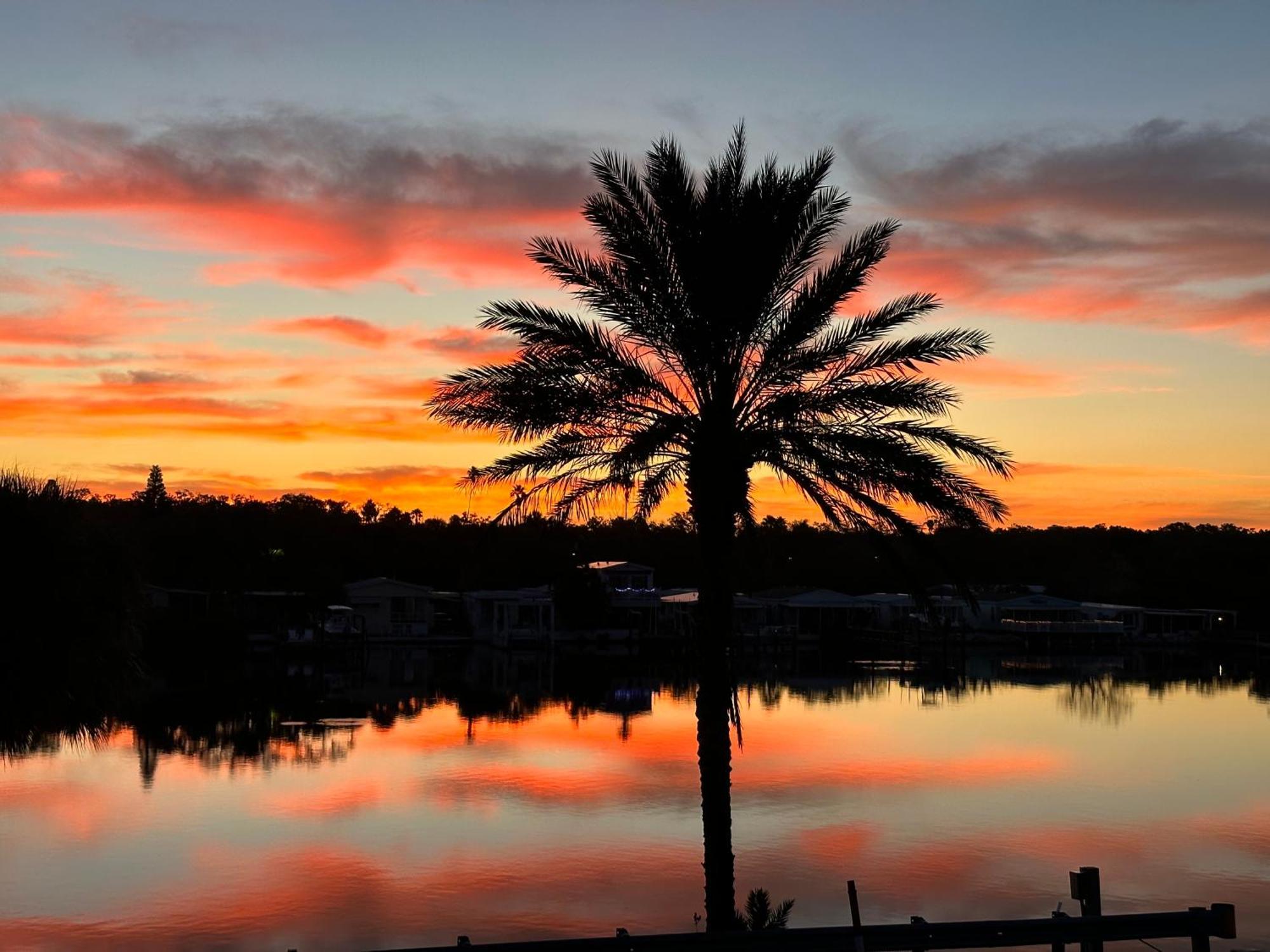 Intercoastal Beach Suite Clearwater Exterior foto